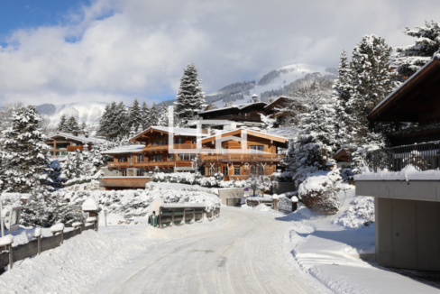 Chalet_Alpinum_wok_1