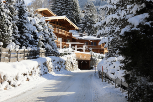 Chalet_Alpinum_wok_3